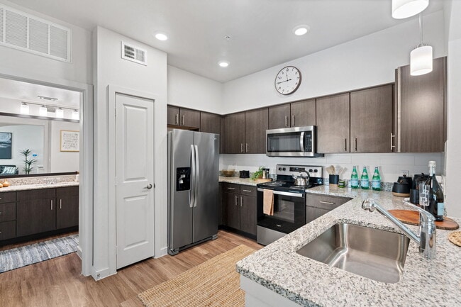 Photo - Water Oak