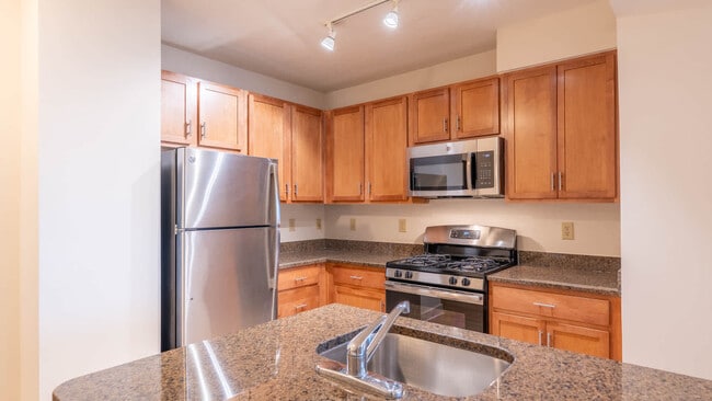 Kitchen with Stainless Steel Appliances - The Veridian