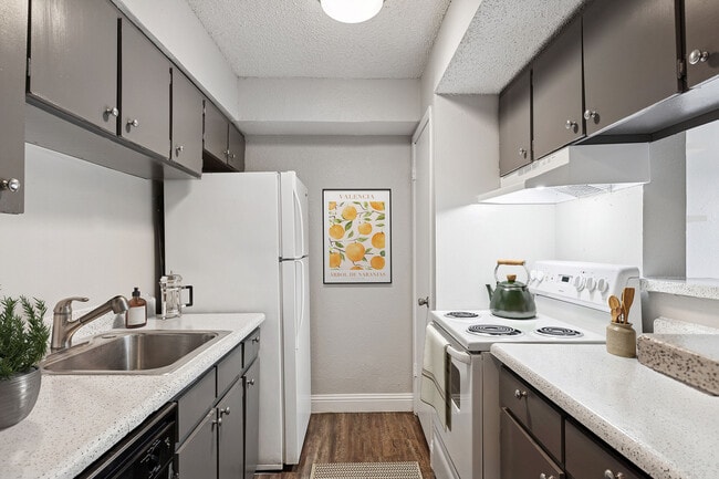 Building Photo - ReNew Scotsdale