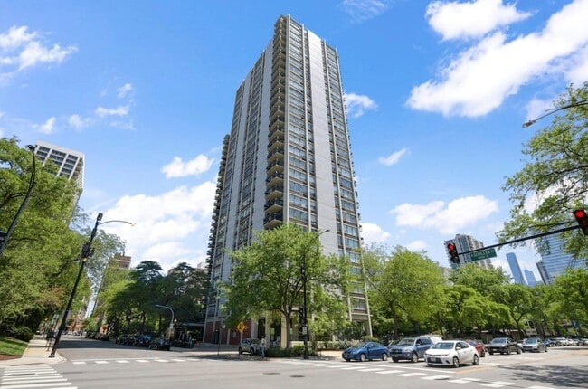 Building Photo - 1360 N Sandburg Terrace Unit 2004C