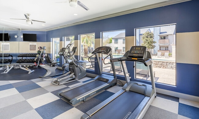 Cardio, Just Steps from Home - Terra at Park Row