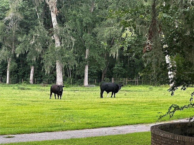 187 NW 45th Loop Rental Ocala - Image 