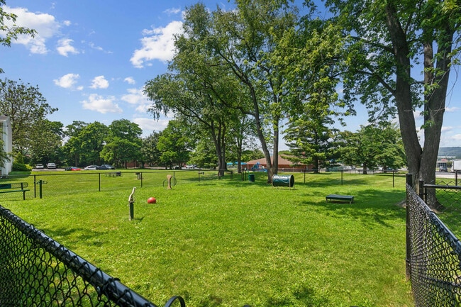 Photo - Suburban Park