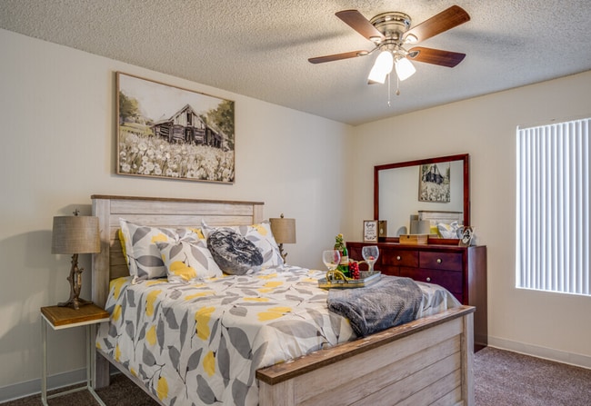 Photo - Sahara and Playa Palms