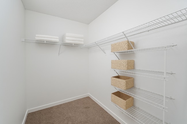 Photo - The Brady at Tampa Palms