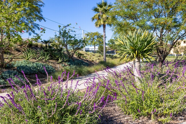 Walking Paths - Suncrest at Ponte Vista