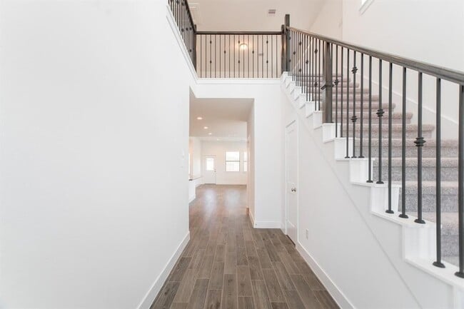 Photo - 17723 Tree of Heaven