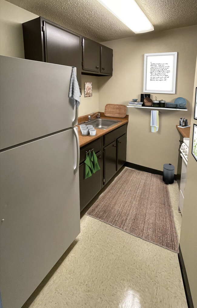 Olesen Kitchen - Rockford Housing Authority