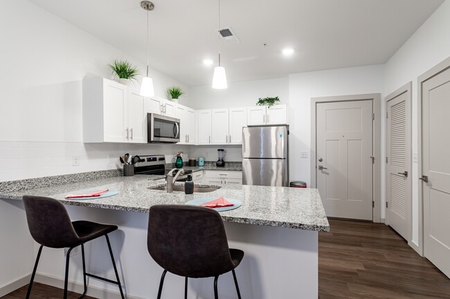 Model Kitchen View - The Forge on Main