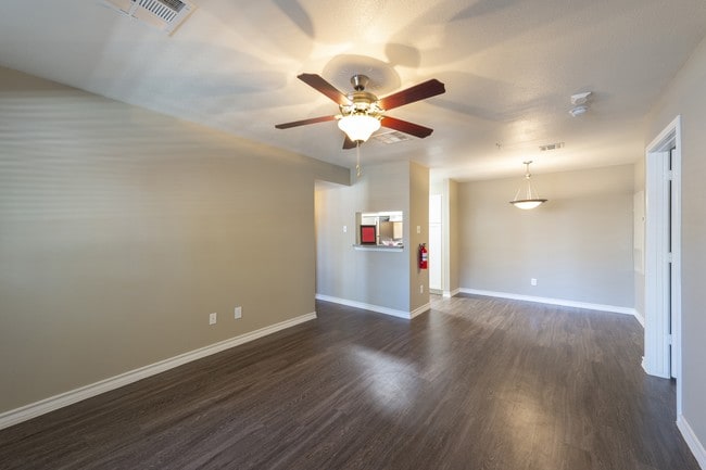 Photo - Cashel Springs