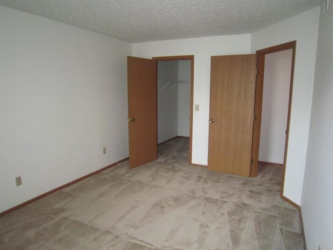 Photo - Forest Brooke