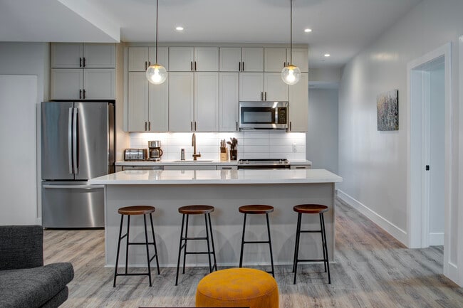 Cypress on Vine - Cypress on Vine