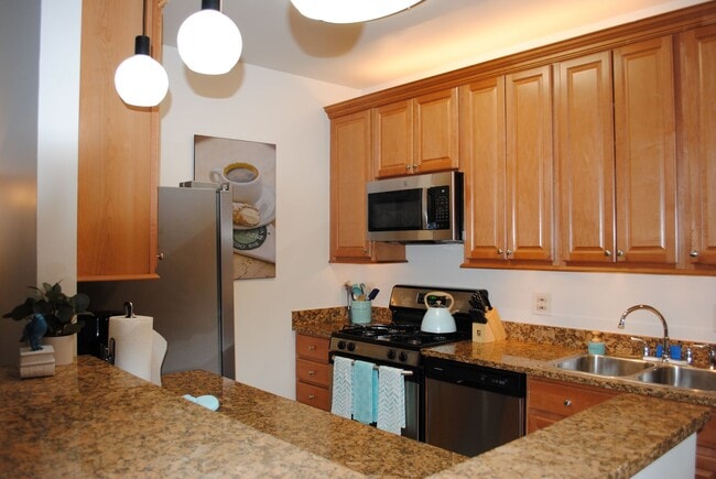 Photo - 1522 N La Salle Dr