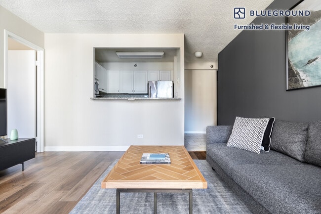 Photo - 750 N Rush St Unit FL17-ID161