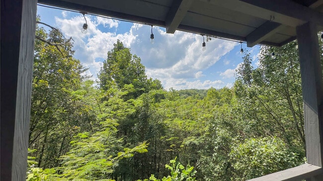 Photo - 1727 Oakridge View Ln Unit ID1226187P