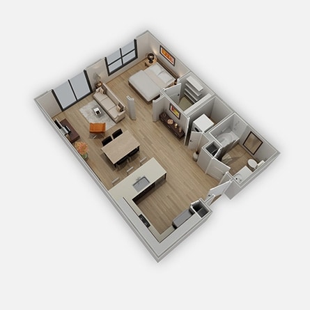 Camelback - Camelback