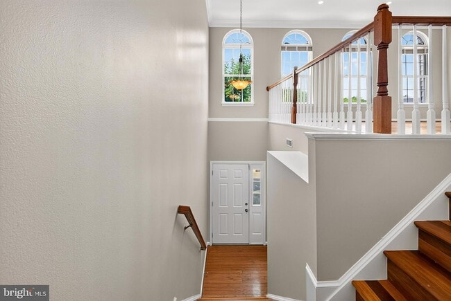 Photo - 6805 Oregano Ln