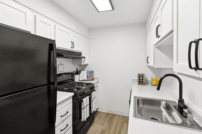 Building Photo - ReNew on Coloma