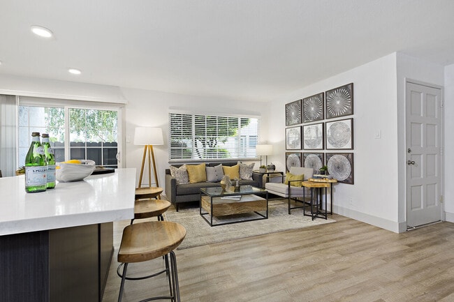 Photo - The Franciscan