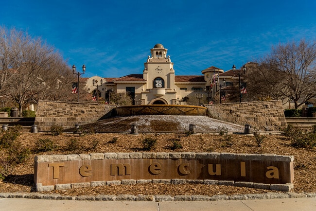 Photo - Vineyards at Paseo Del Sol