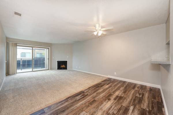 Photo - Venetian Bridges