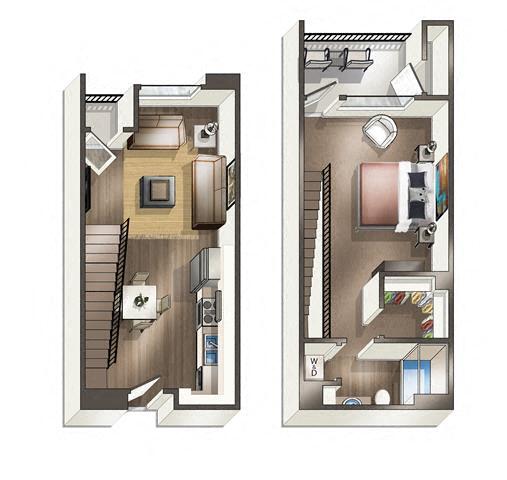Floor Plan - Cove