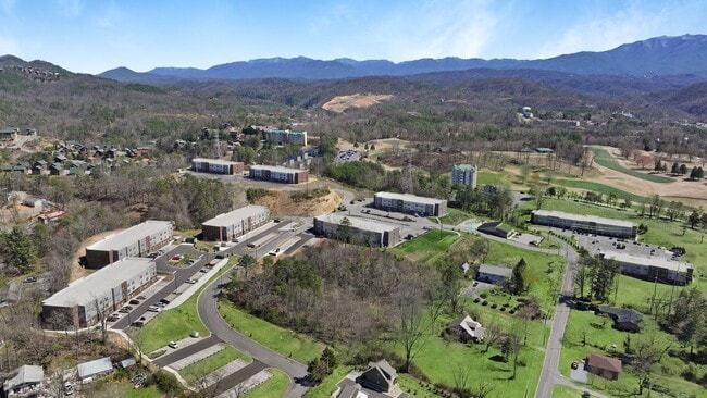 Building Photo - The Lofts at Pigeon Forge