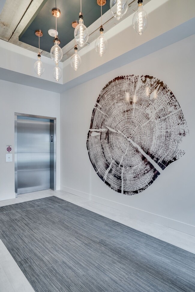 Photo - MN46 Apartments