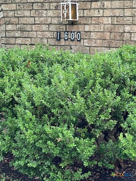 Photo - 1600 Halbert St