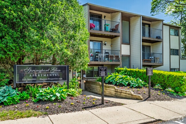 Photo - Springport Glen