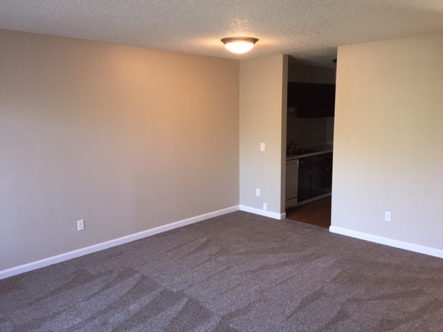 1 bdrm large living room - Indian Hills