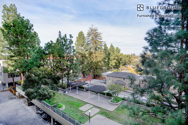 Photo - 501 Forest Ave Unit FL5-ID1255