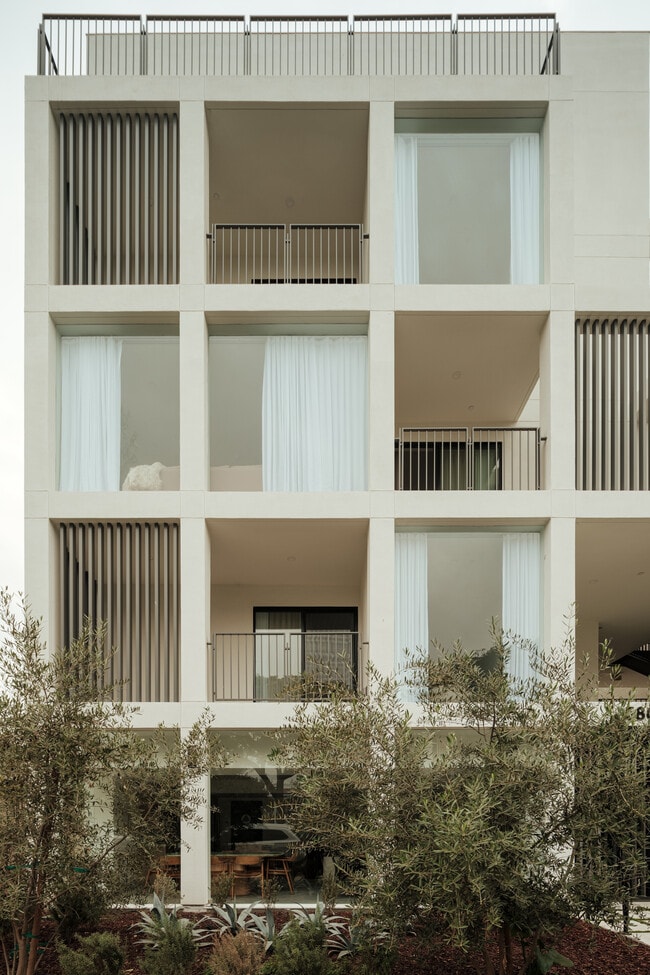 Photo - Lex II by Category