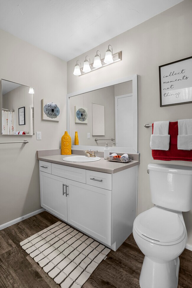 Photo - Mountain Shadows