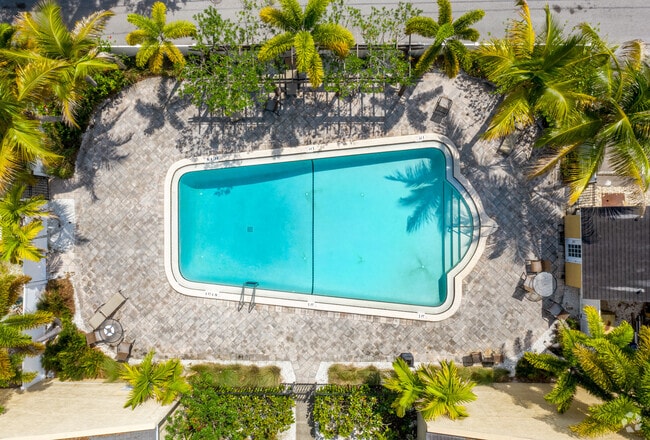 Pool - The Place at Davis Islands