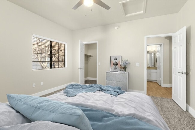 Photo - Fountain Palms