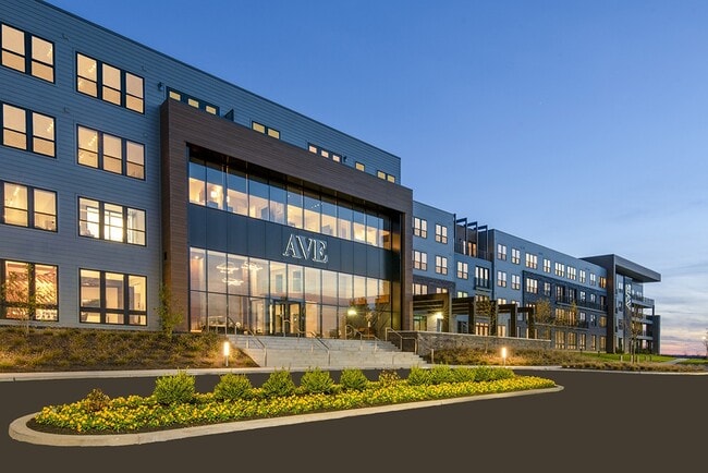 AVE Blue Bell - AVE Blue Bell