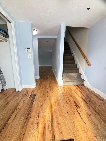 Photo - 15 Buckingham St