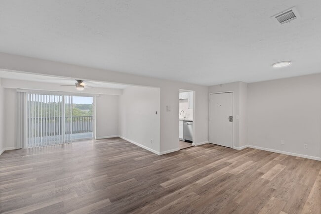 Photo - The Wimbledons