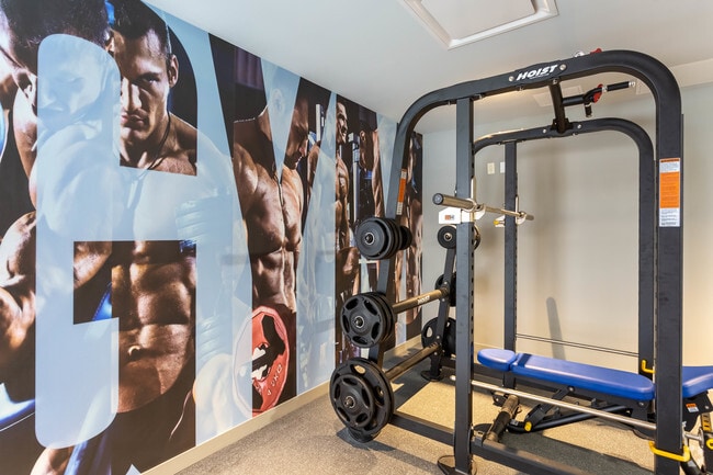 Fitness Center - Spectra Pearl 101