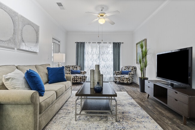 Photo - Vineyard Springs