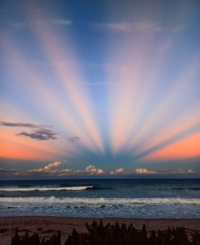 Building Photo - 8600 Ridgewood Ave Unit ID1346832P