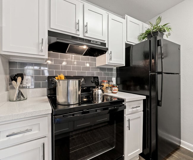 Photo - Mustang on the Trail