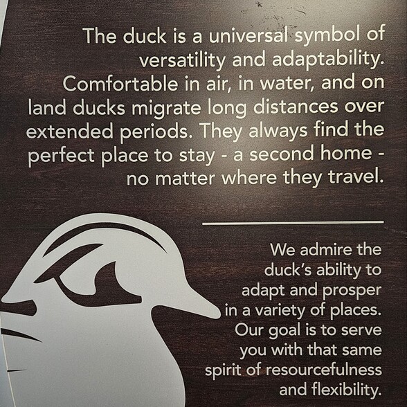 Primary Contact Photo